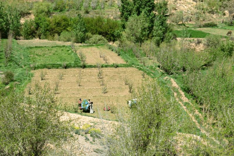 ait_ayach_to_merzouga_0020