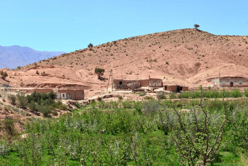 ait_ayach_to_merzouga_0021