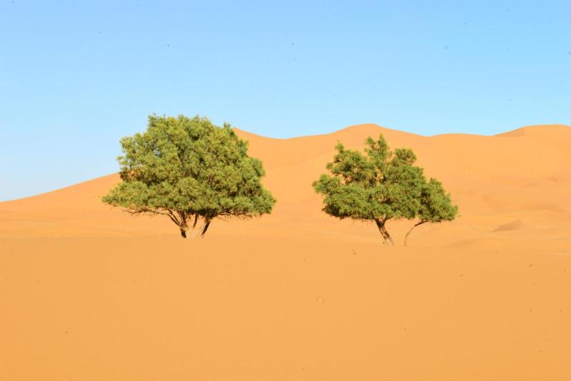 ait_ayach_to_merzouga_0034