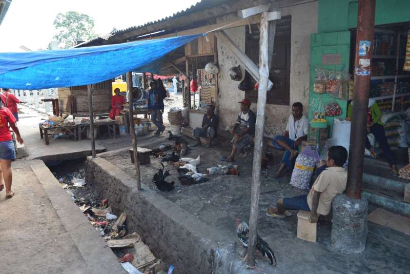 alore_kalabahi_0181