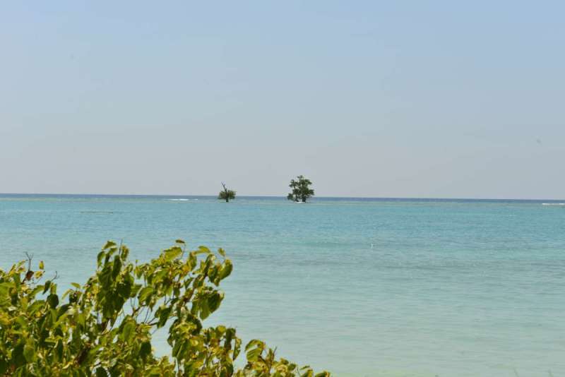 alore_kalabahi_0251