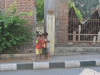 alore_kalabahi_0071