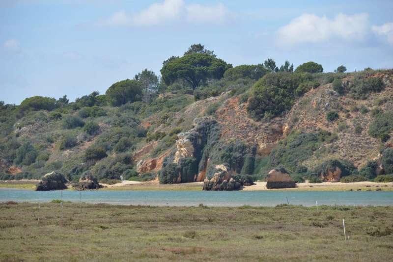 alvor_0066