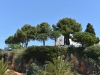 alvor_0155