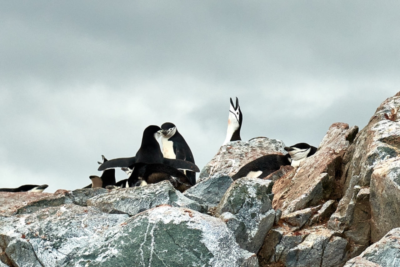 antartica_ende_013