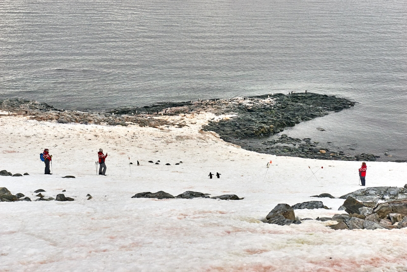 antartica_tour_021