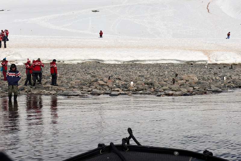 antartica_tour_028