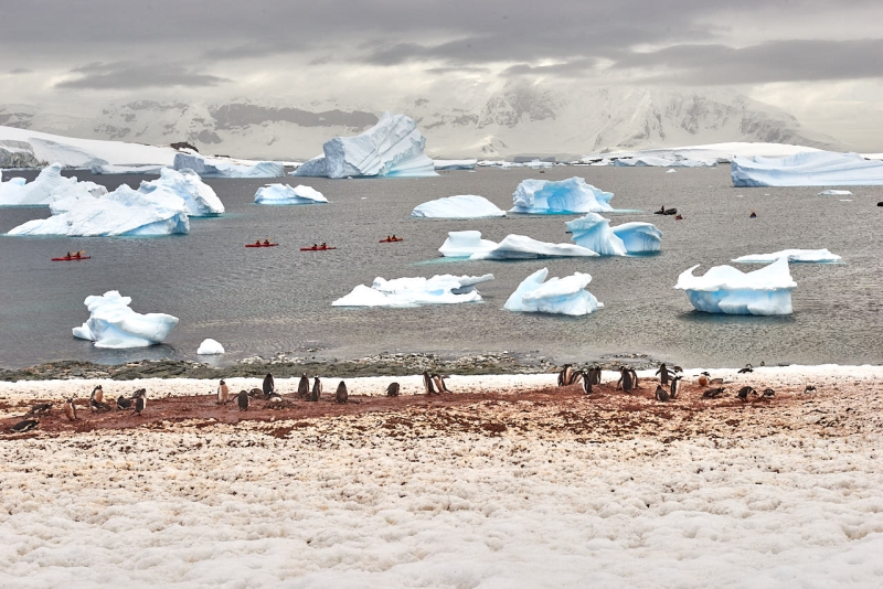 antartica_tour_029