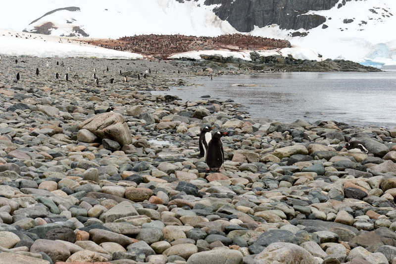 antartica_tour_030