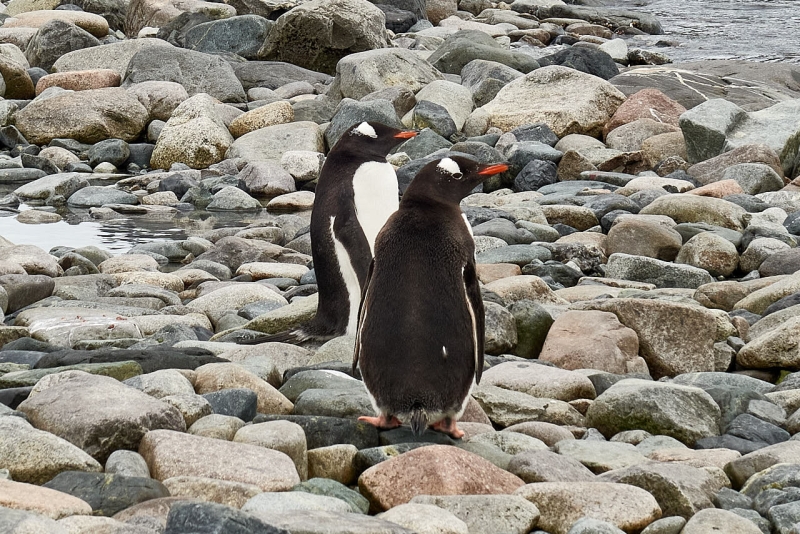 antartica_tour_031