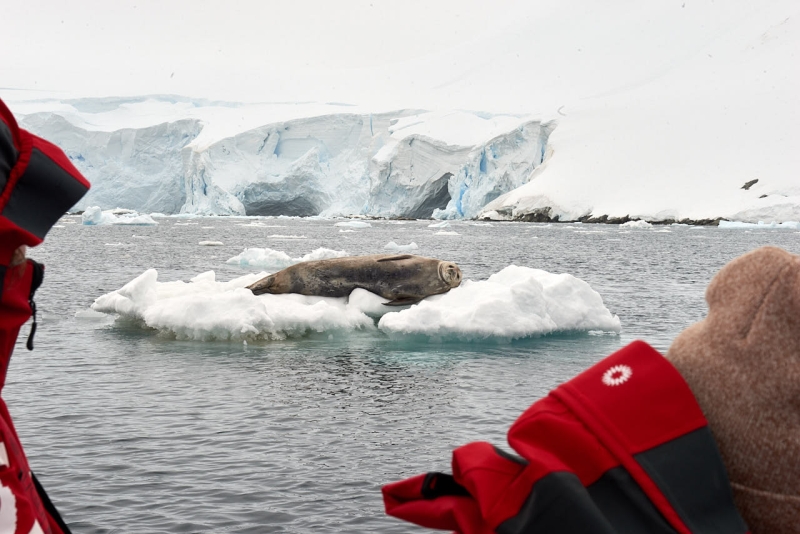 antartica_tour_033