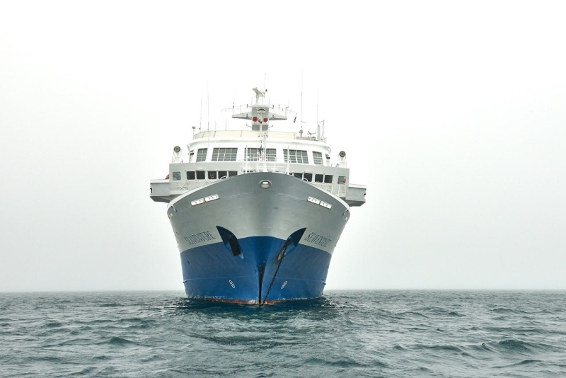 antartica_web_007