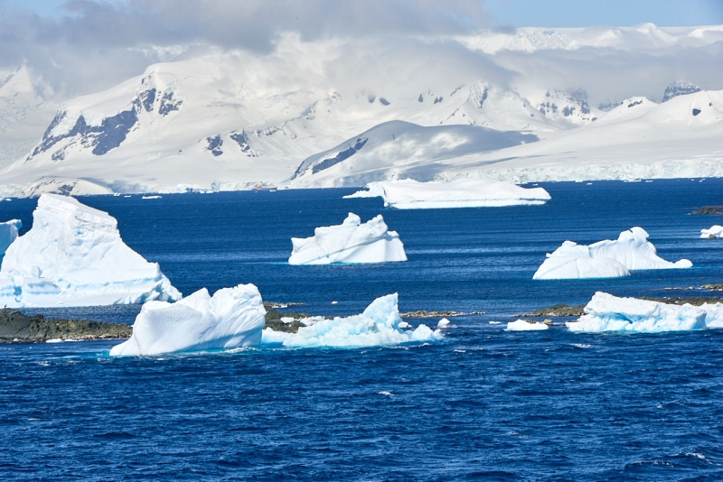 antartica_web_033