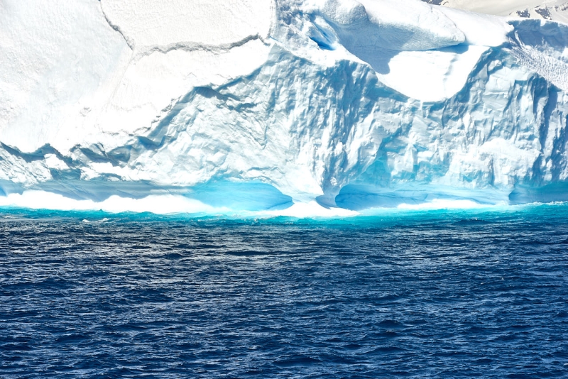 antartica_web_034