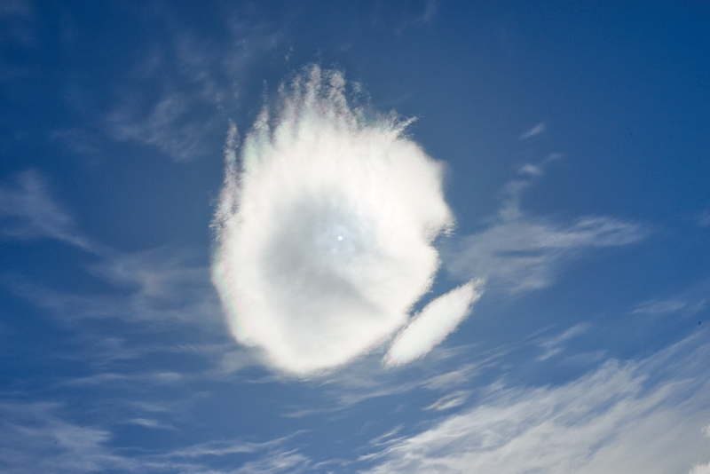 antartica_web_035