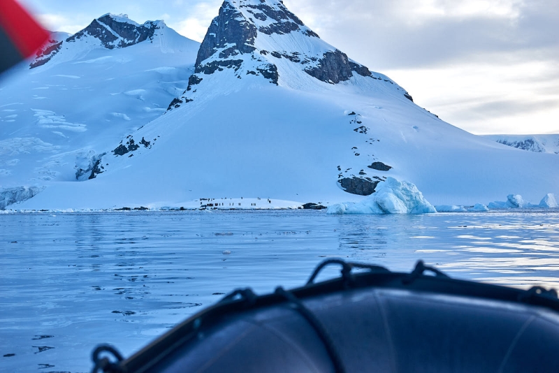 antartica_web_037