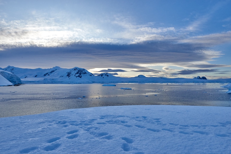 antartica_web_040
