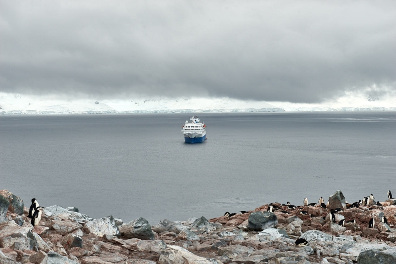 antartica_web_043