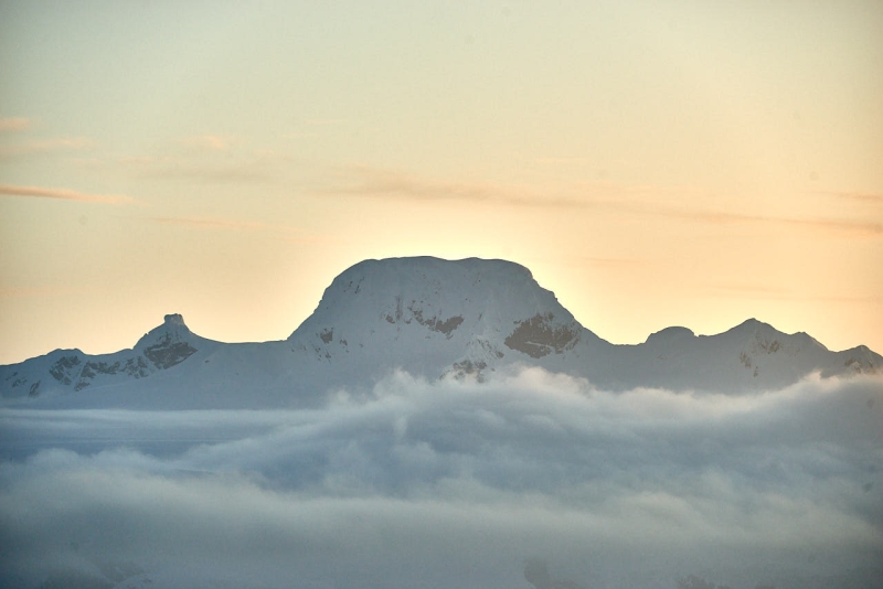 antartica_web_053