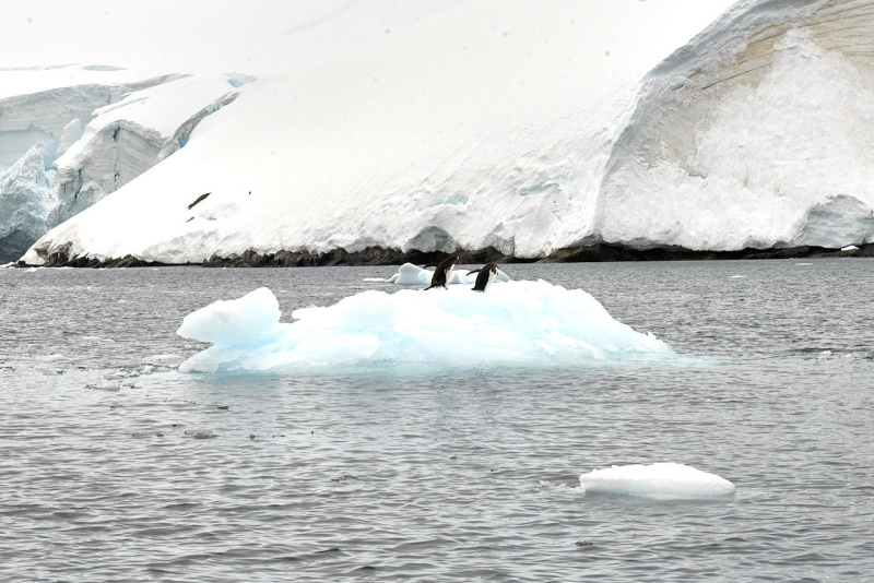 antartica_web_055