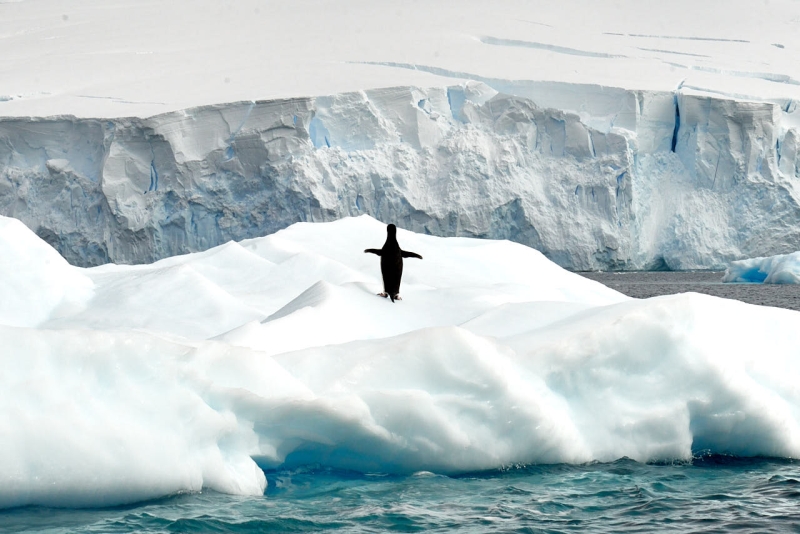 antartica_web_058