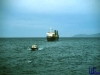 askania1984_022