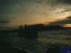 askania1984_037