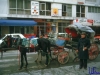 askania1984_047