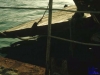 askania1984_069