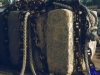 askania1984_070