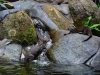 australia_australia_zoo_0006