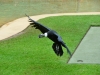 australia_australia_zoo_0061