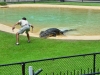 australia_australia_zoo_0076