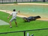 australia_australia_zoo_0081
