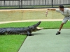australia_australia_zoo_0101