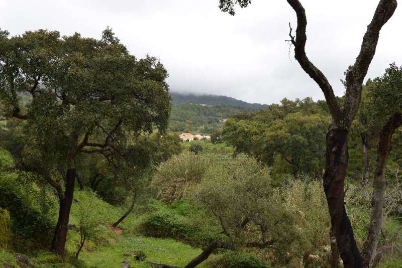 ayamonte_monchique_0041