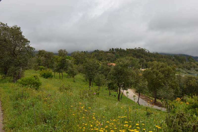 ayamonte_monchique_0051