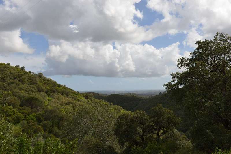 ayamonte_monchique_0071