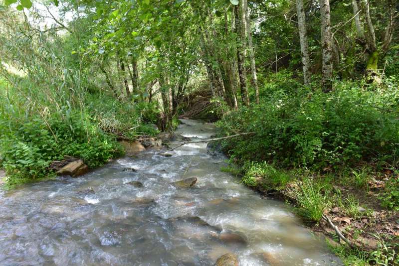 ayamonte_monchique_0081