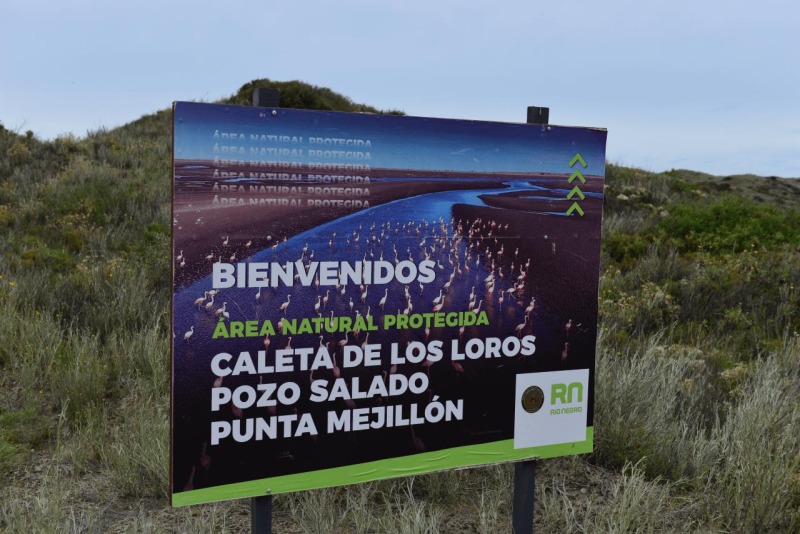 azul_bahina_blanca_punto_mejillon_025