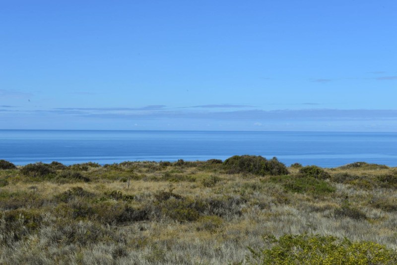 azul_bahina_blanca_punto_mejillon_043