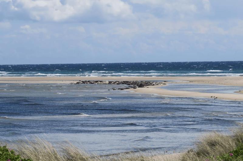 b26_anholt_so_far_011