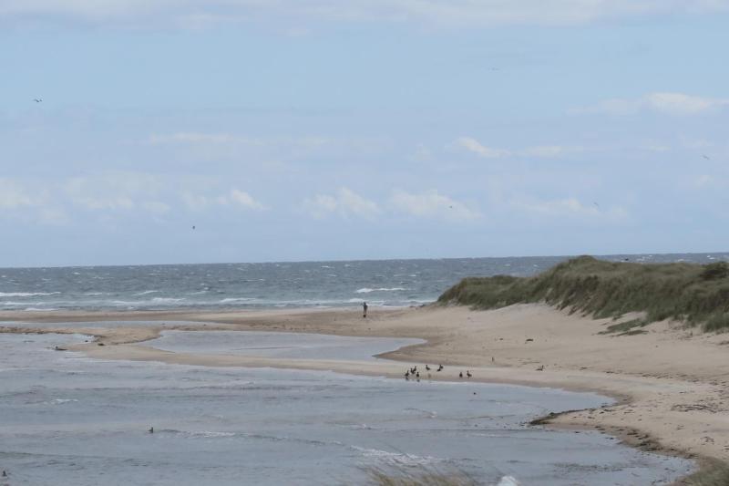 b26_anholt_so_far_013