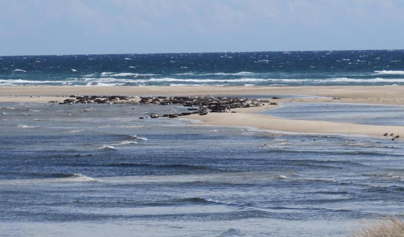 b26_anholt_so_far_032