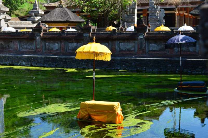 bali_0141