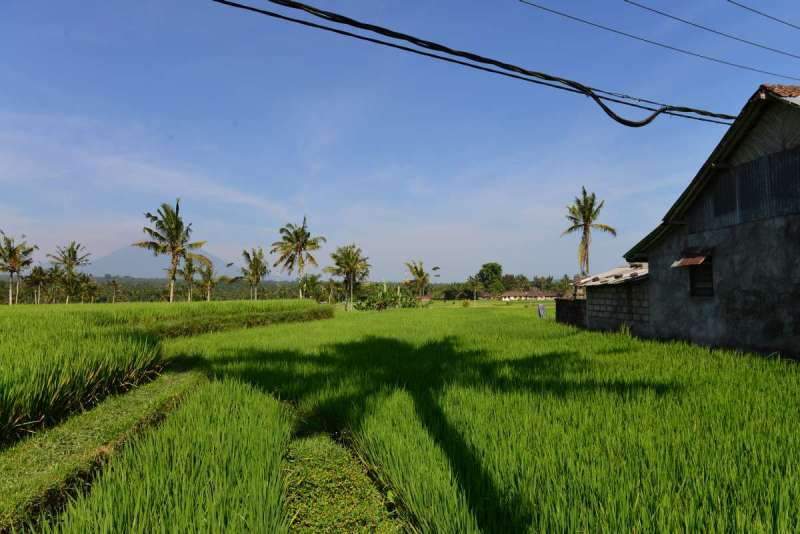 bali_0151