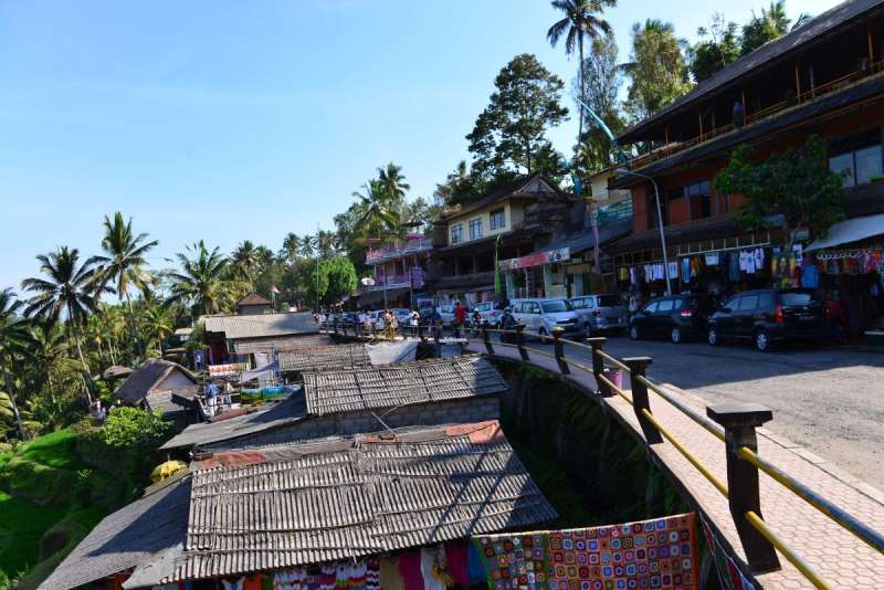 bali_0166