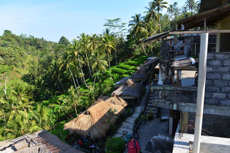 bali_0171