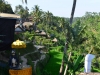 bali_0176