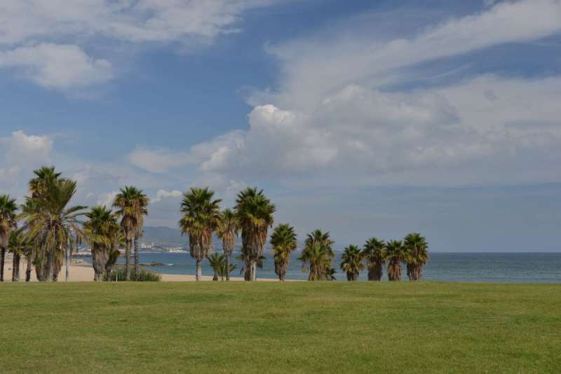 barcelona_peter_0001